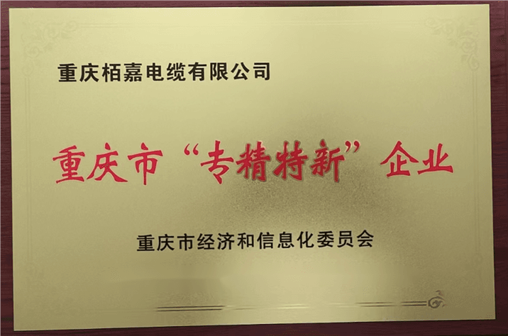 'Specialized & Innovative' Enterprise