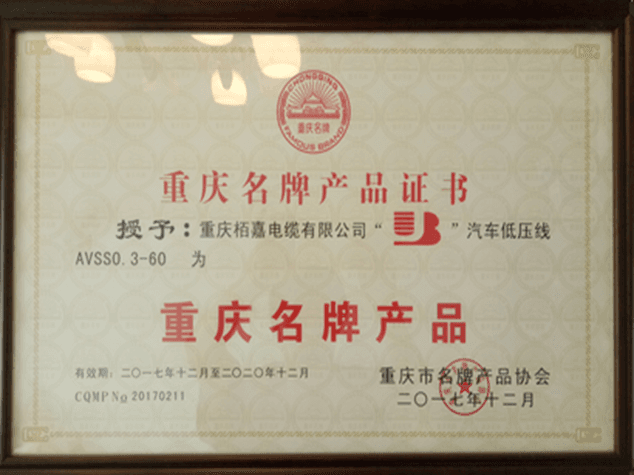 Chongqing Famous Brand Product